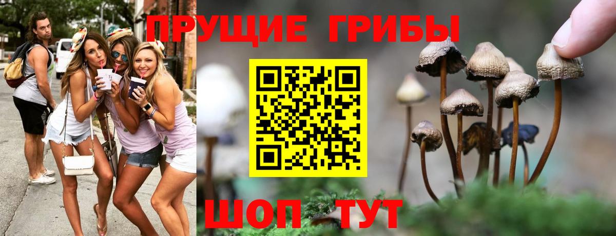 Галлюциногенные грибы прущие грибы  Вход с VPN  Псилоцибиновые грибы ЛСД  Омск 